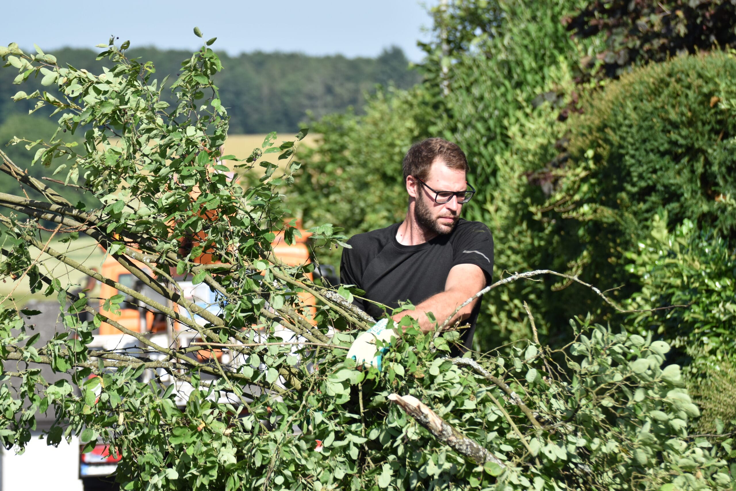 Mitarbeiter bei Baumpflege, Gartenpflege Holzappel