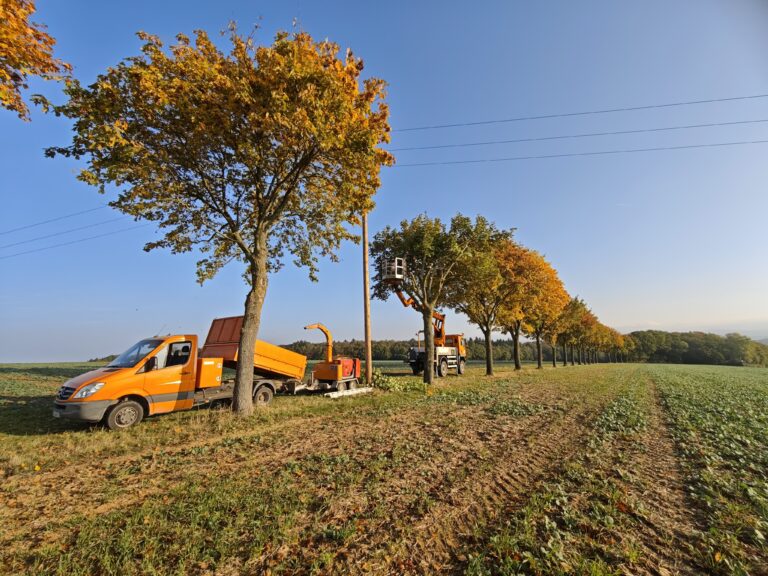 Trassenpflege